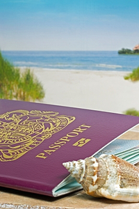 Janis Dezso Bovie Medical Corporation