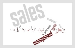 Motivate your Sales Team