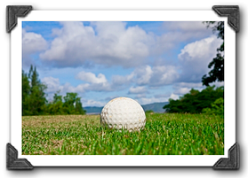 Rob Saron | Bovie Medical