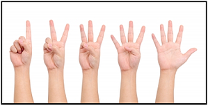 5 Reasons to not buy- bovie