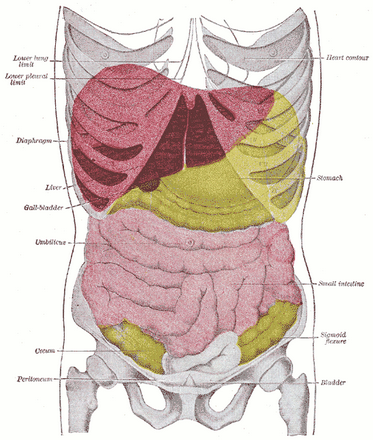 smoke evacuator Bovie